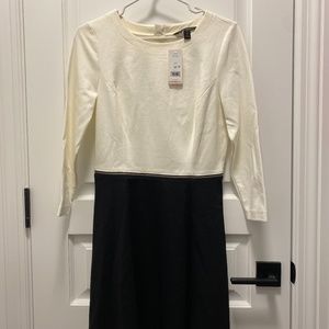 BNWT Banana Republic ColourBlock Work Dress